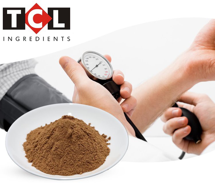 reishi mushroom extract manufacturer