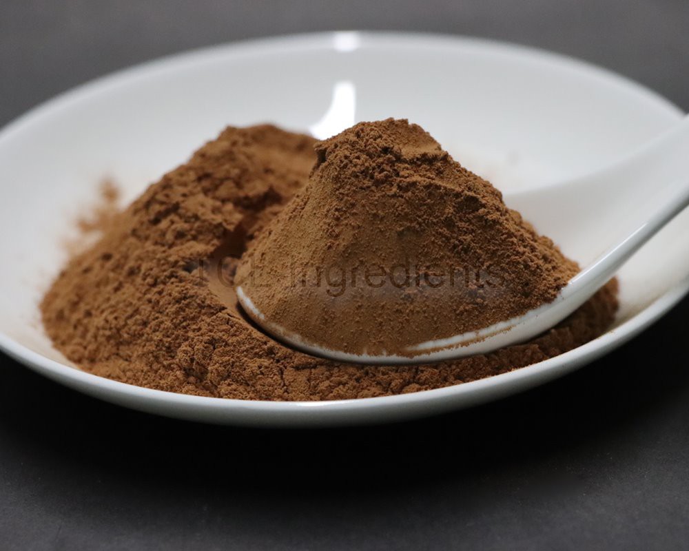 Reishi mushroom extract high quality