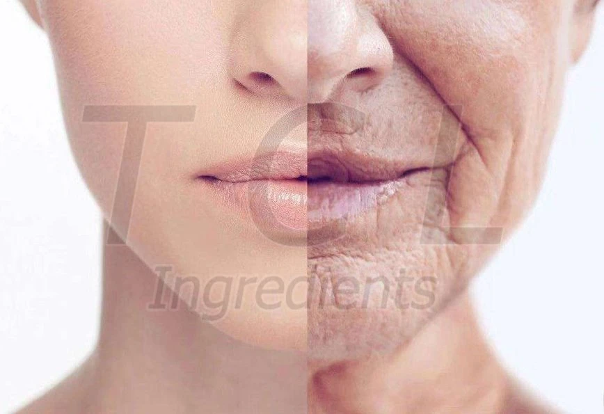Viola Tricolor Extract supplier