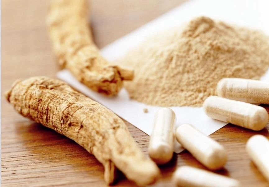 Astragalus Root Extract Powder Fine Powder