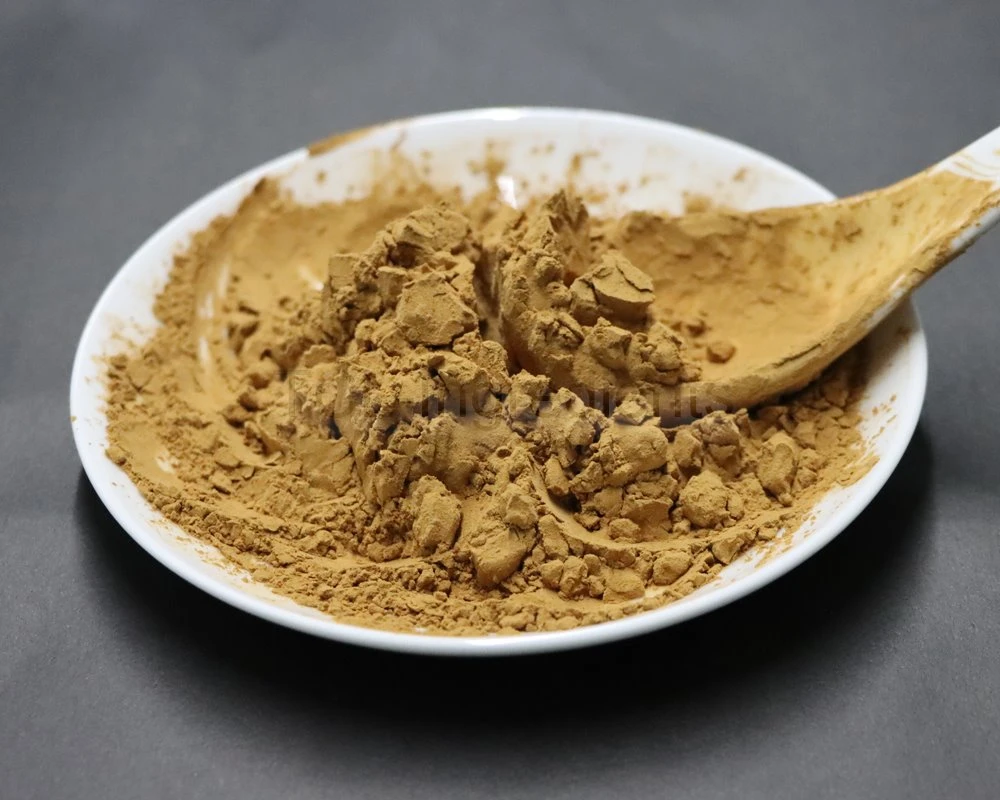 Pure ginger extract supplier